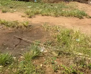 A Plot of Land for Sale