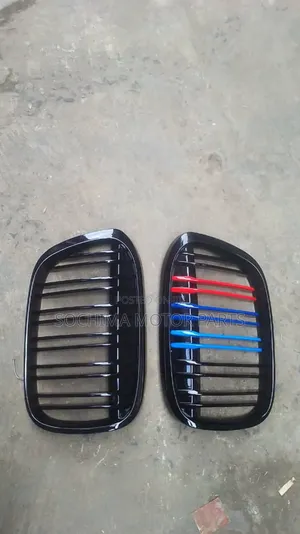 Front Grill X1 2017