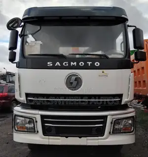 Brand New 10tyres Sagmoto Dump Tipper Truck (375).