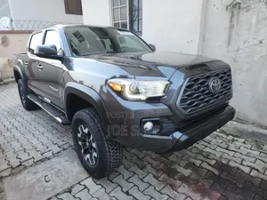Toyota Tacoma 2019 Gray