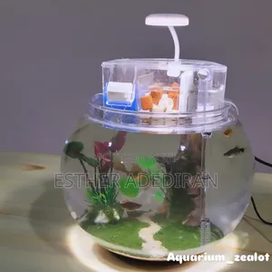 Fish Bowl With Aquascape