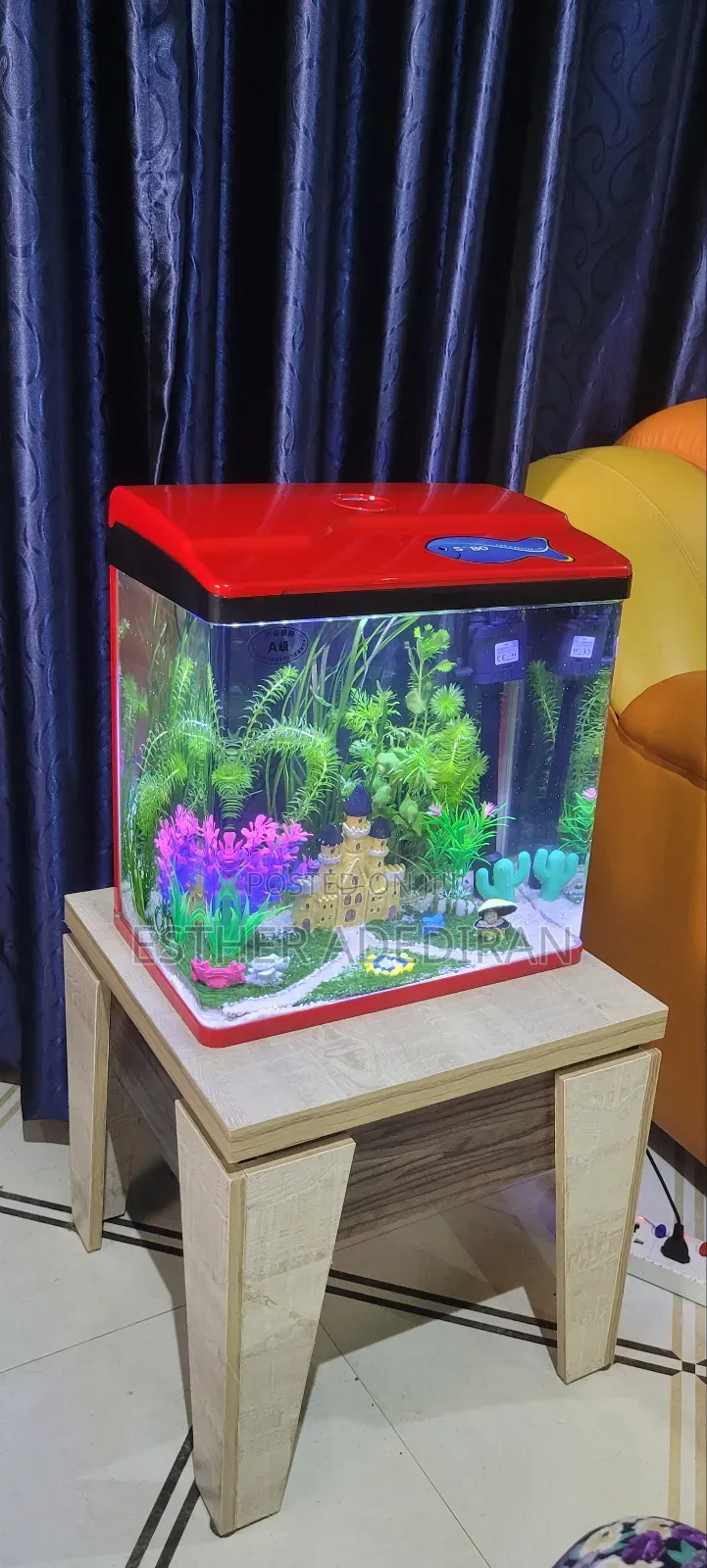 30 Litres Aquarium With Aquascape