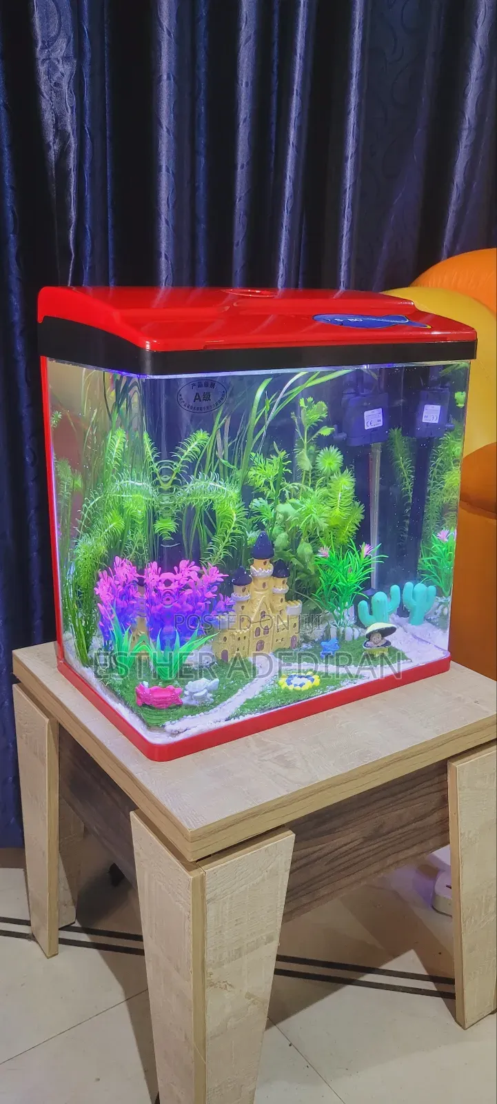 30 Litres Aquarium With Aquascape