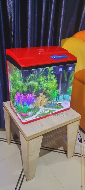 30 Litres Aquarium With Aquascape