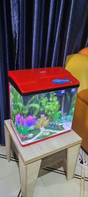 30 Litres Aquarium With Aquascape