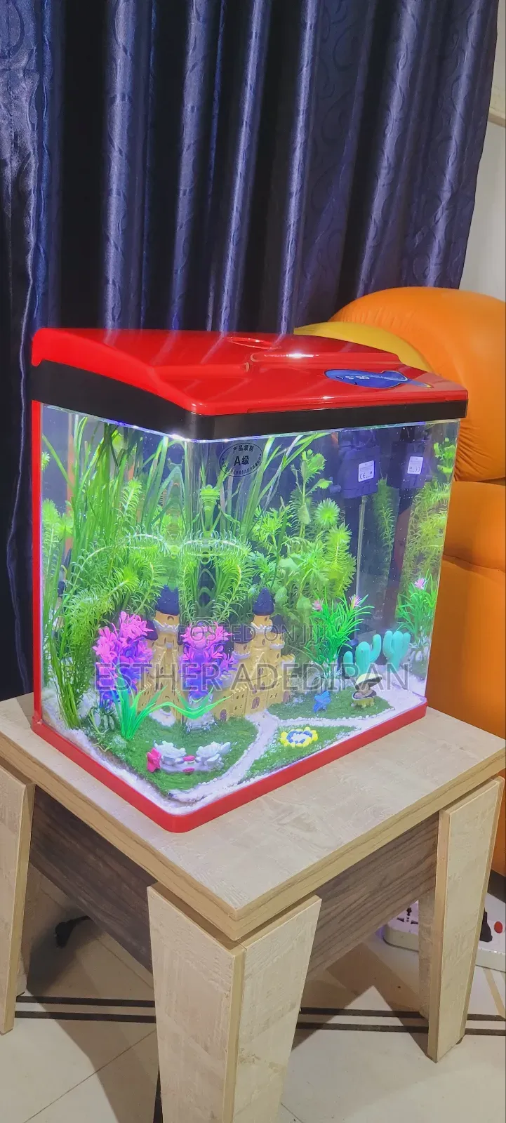 30 Litres Aquarium With Aquascape