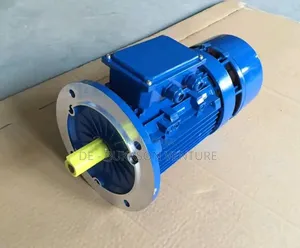 High Quality Brand New Original 4hp Break Electric Motor
