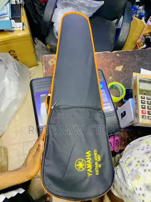 Violin 3/4 4/4