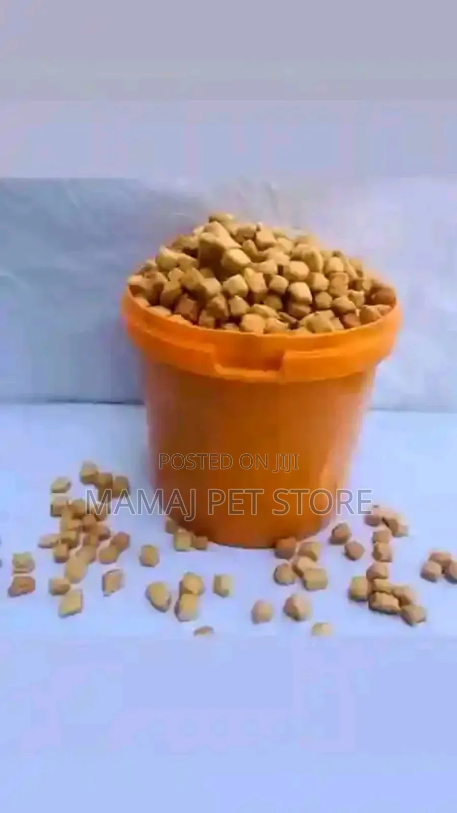 Yummy, Crunchy Chinchin
