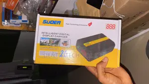 12v - 24v Souer Automatic Inverter / Car Battery Charger 20a