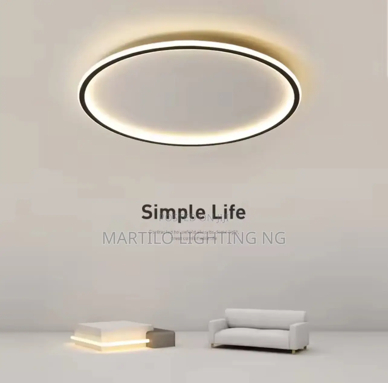 Ceiling Light With Amazing Colors Display
