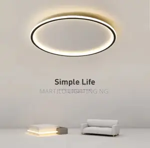 Ceiling Light With Amazing Colors Display