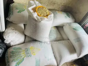 Dog Noodles