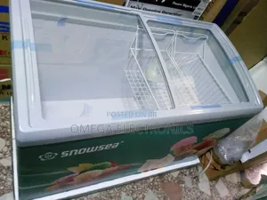 Snow Sea Ice Cream Freezer 4ft Low Voltage