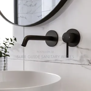 Wall Conceal Faucet