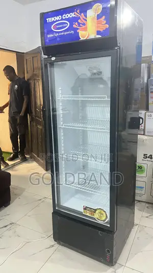 Tecno Cool 365l Display Cooler – Ideal for Drinks Dairy