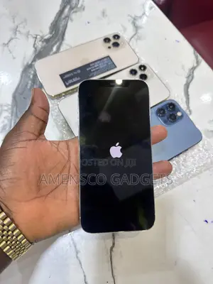 Apple iPhone 12 Pro Max 256 GB