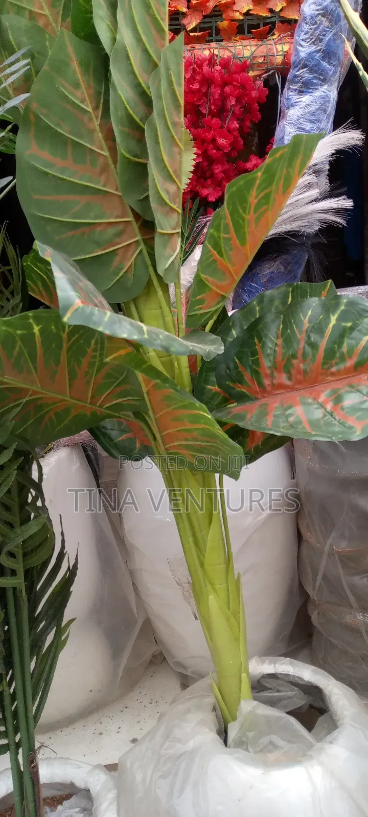 ‎Artificial Flower and Pot Set ( Fine Quality)