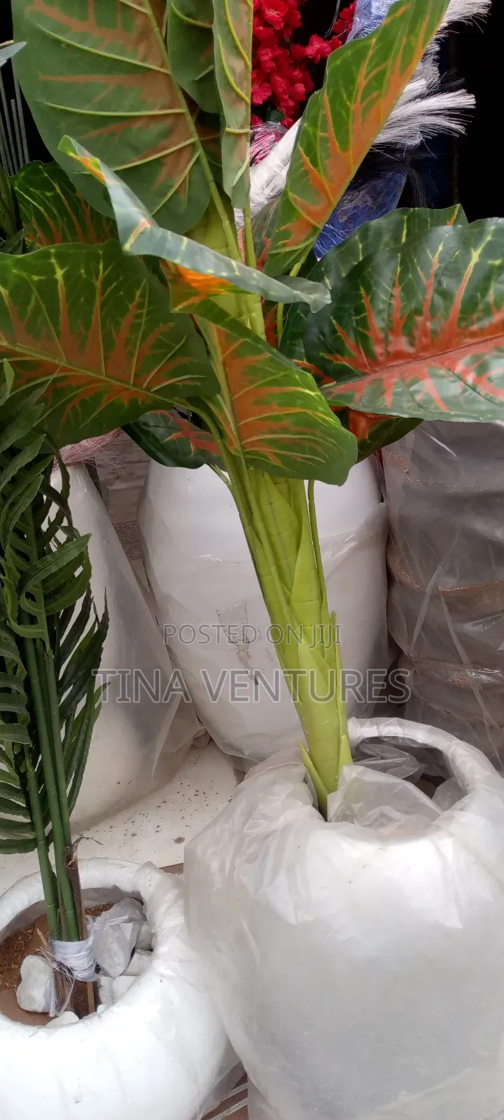 ‎Artificial Flower and Pot Set ( Fine Quality)