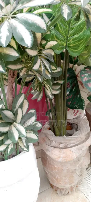 ‎Artificial Flower and Pot Set ( Fine Quality)