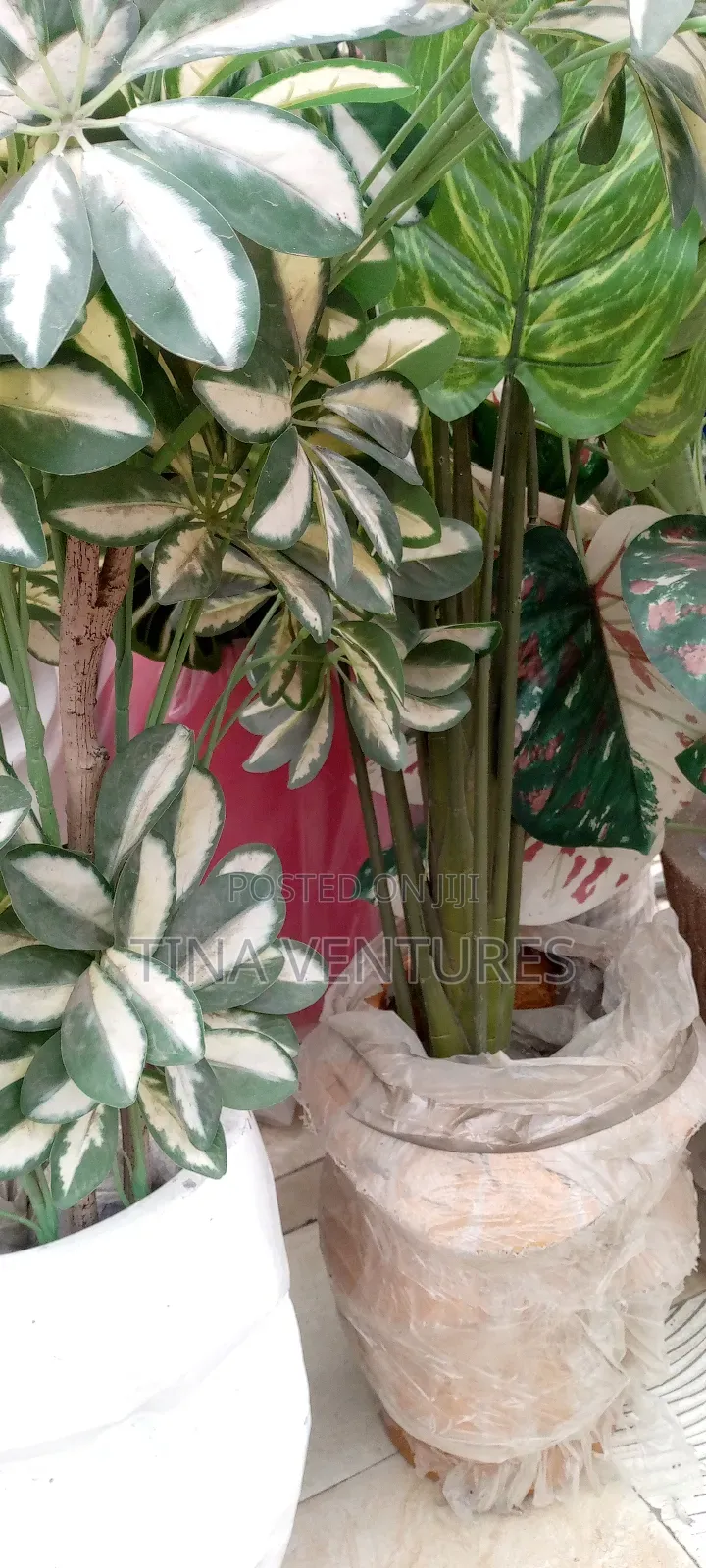 ‎Artificial Flower and Pot Set ( Fine Quality)