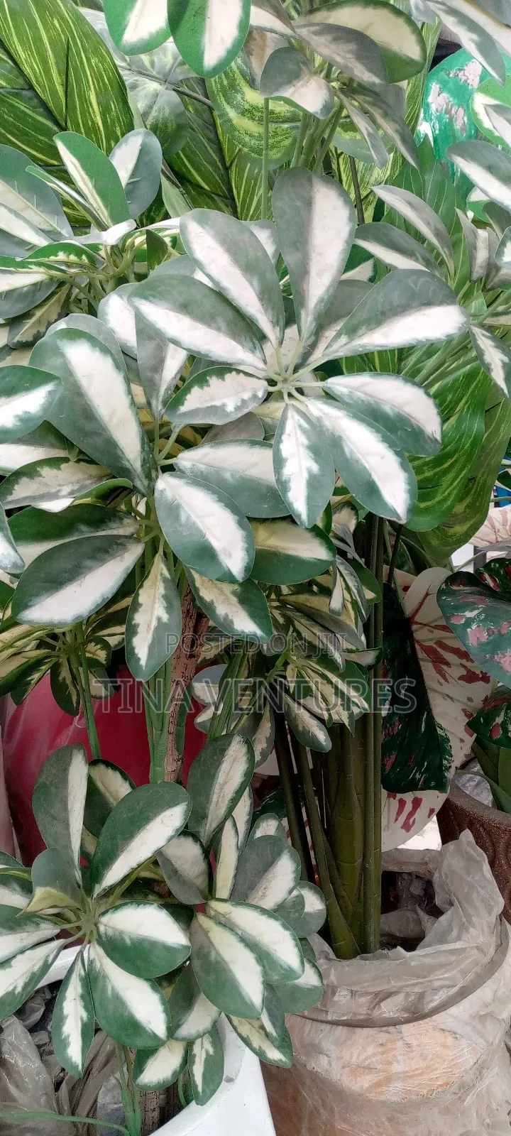 ‎Artificial Flower and Pot Set ( Fine Quality)