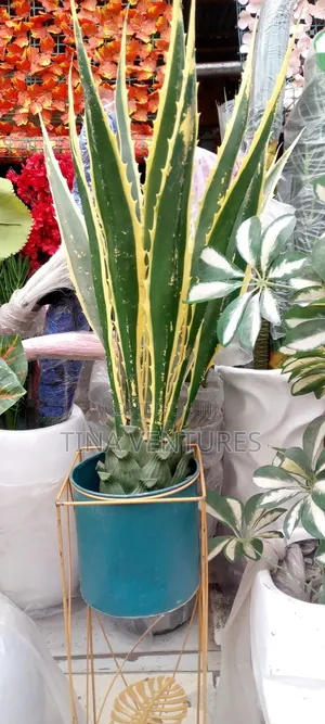 ‎Artificial Flower and Pot Set ( Fine Quality)