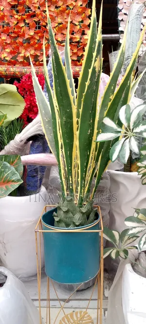 ‎Artificial Flower and Pot Set ( Fine Quality)