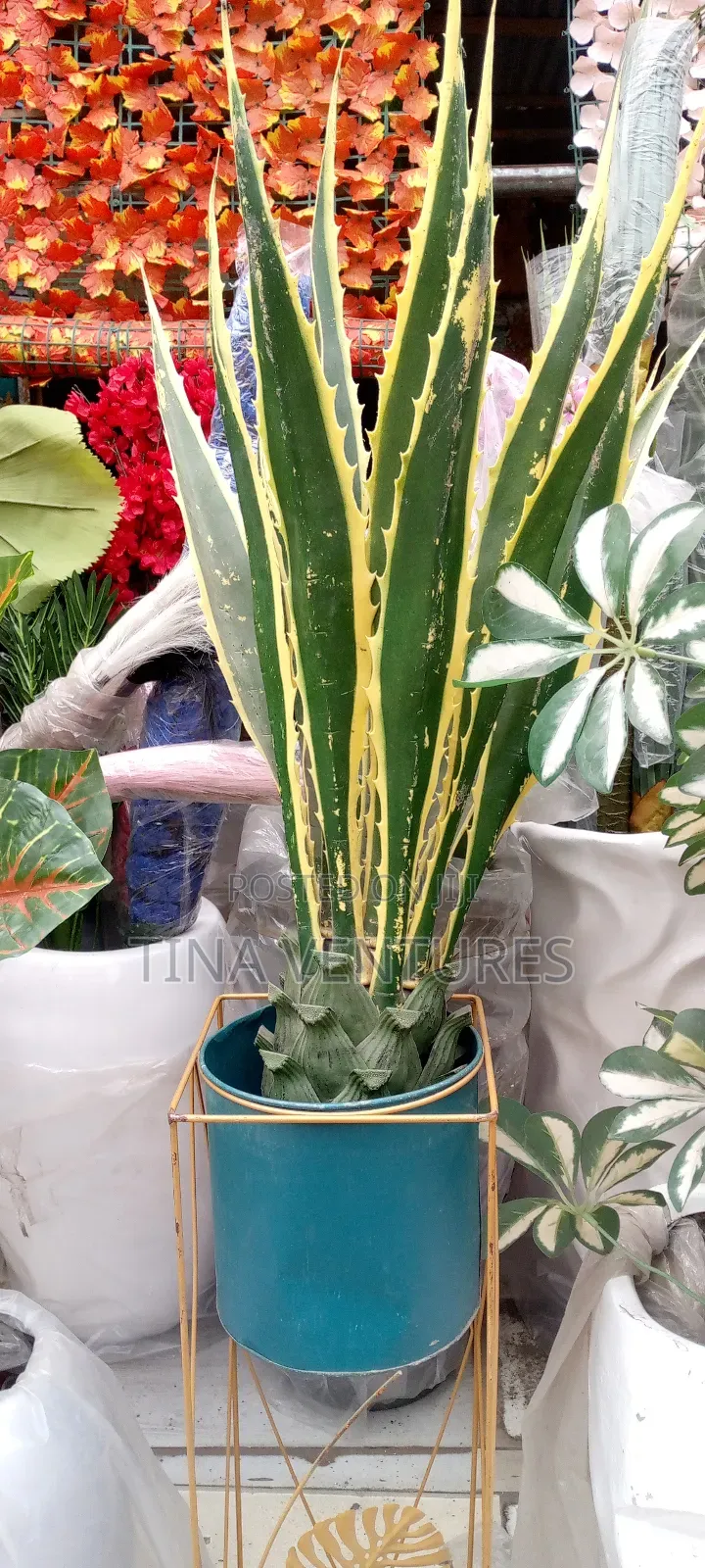 ‎Artificial Flower and Pot Set ( Fine Quality)