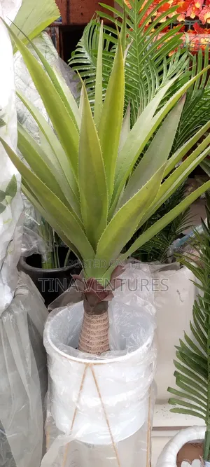 ‎Artificial Flower and Pot Set ( Fine Quality)