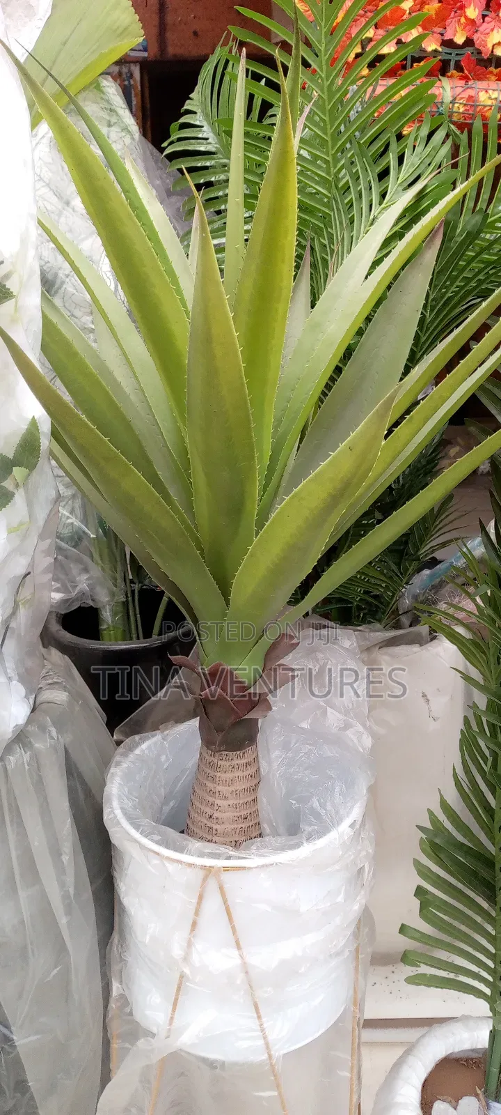 ‎Artificial Flower and Pot Set ( Fine Quality)