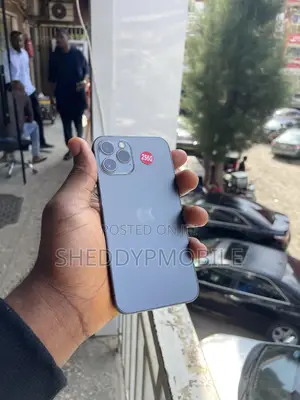 Apple iPhone 12 Pro 256 GB Gray