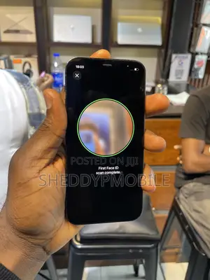 Apple iPhone 12 Pro 256 GB Gray