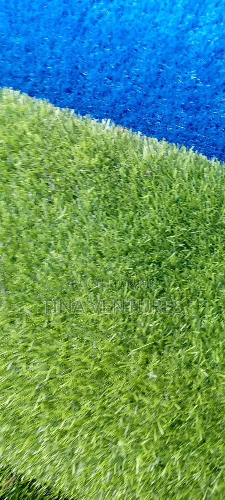 Artificial Grass (Fine Quality)