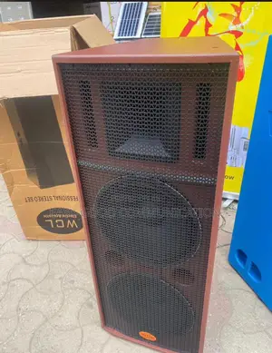 WCL Professional 126b Double Full Range Loudspeaker