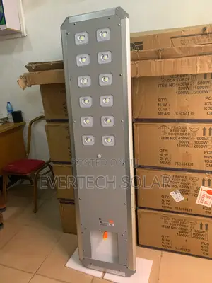 80 Watts D2 Felicity All In One Solar Street Light