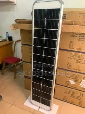 80 Watts D2 Felicity All In One Solar Street Light