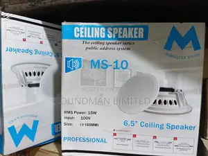 15watts Ceiling Speaker