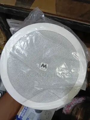 30 Watts Ceiling Speaker