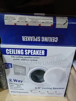 Ceiling Speaker 30watts