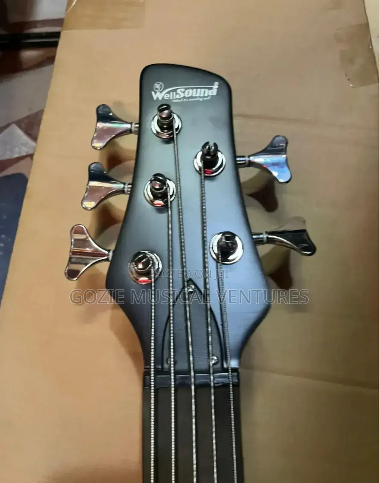 Wellsound Active Five String Electric Guitar 