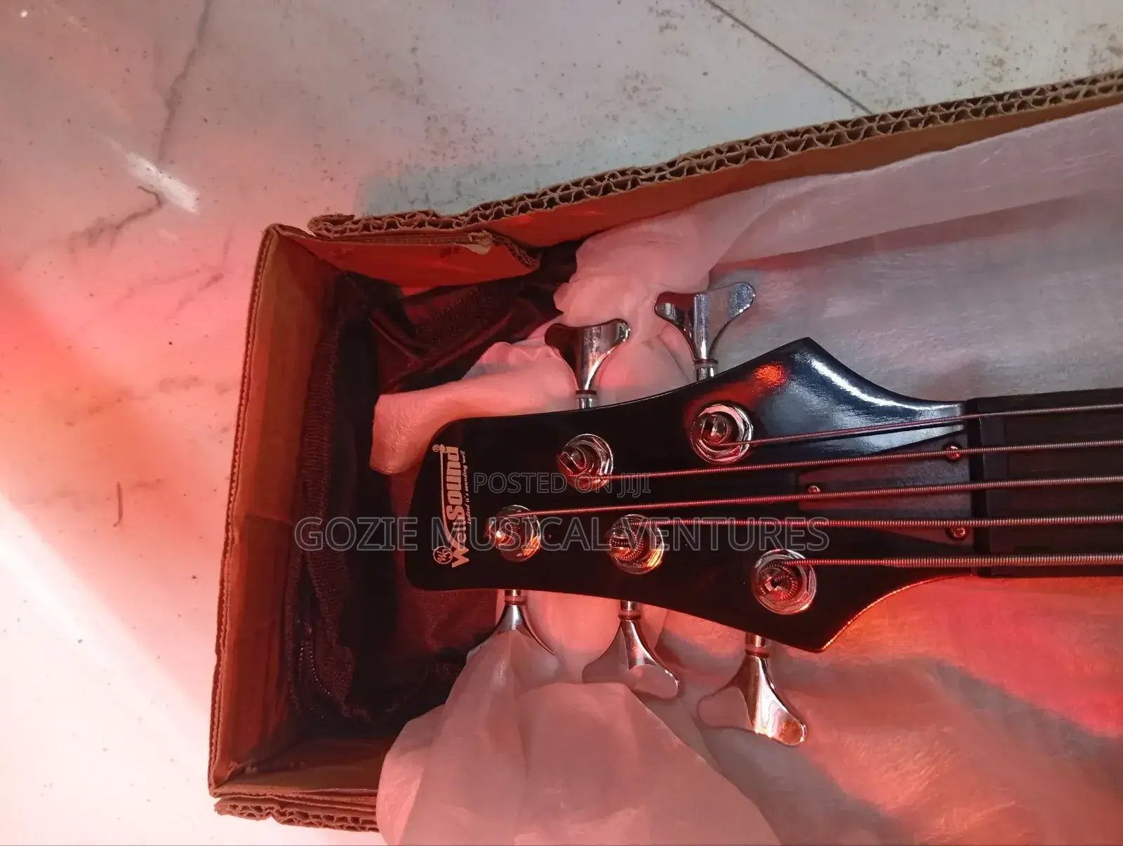 Five String Active Electric Guitar Wellsound With Amazing Sound.