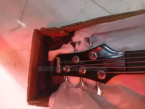 Five String Active Electric Guitar Wellsound With Amazing Sound.