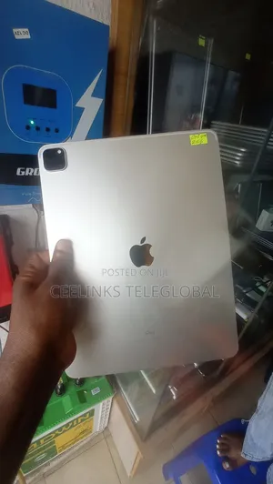 Apple iPad Pro 12.9 (2021) 256 GB Gray