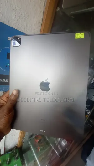 Apple iPad Pro 12.9 (2021) 256 GB Gray