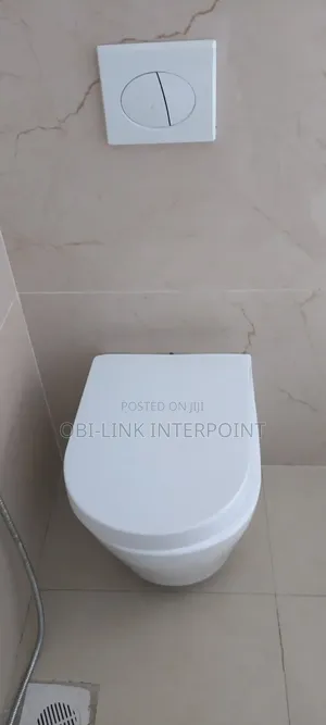 Concealed Wc