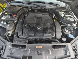 Mercedes-Benz C300 Luxury 4Matic Sedan AWD (3.5L 6cyl 7A) 2014 Green