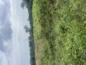 Ogun Waterside 800 Acres for Sale at Ijebu Comes With Survey