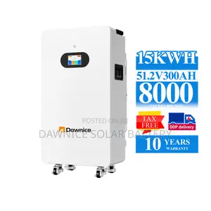 15kwh Small Lifepo4 Solar Battery Ess Wall-Mounted Lithium Ion Battery