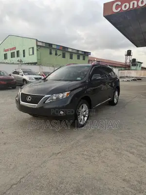 Lexus RX 350 2010 Gray